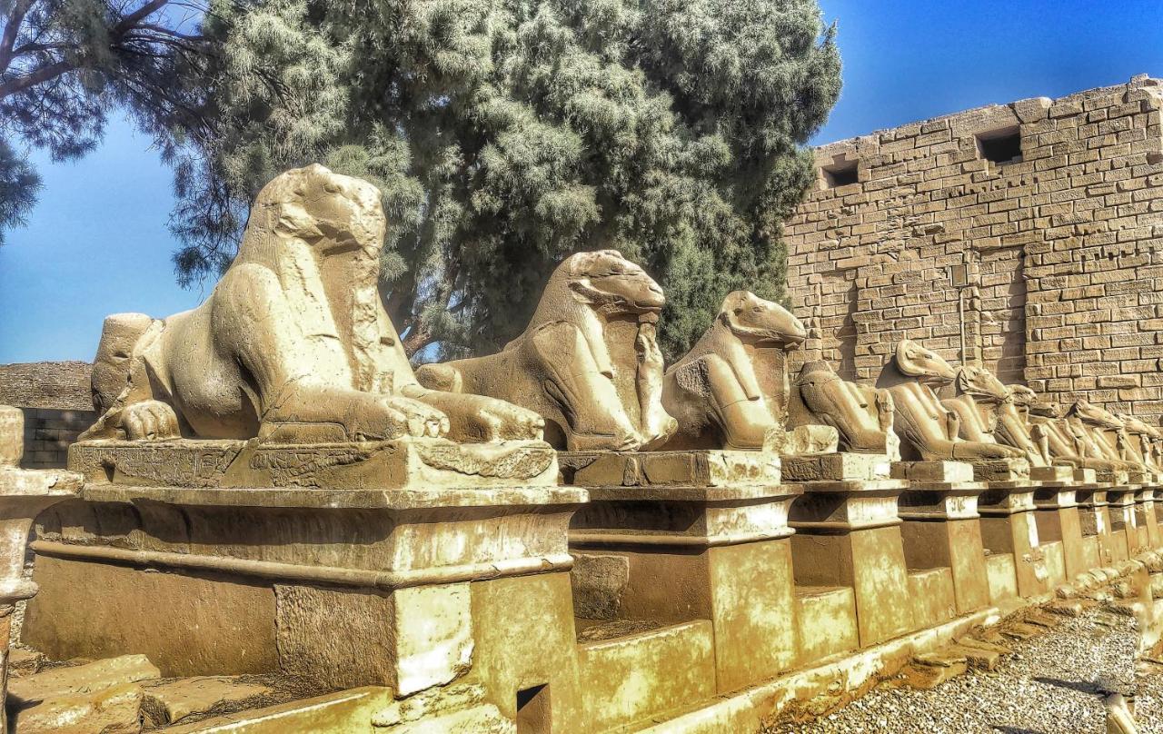 Royal Home Luxor Nile View Bagian luar foto